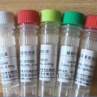 抗IgA IgE IgG IgM单克隆抗体