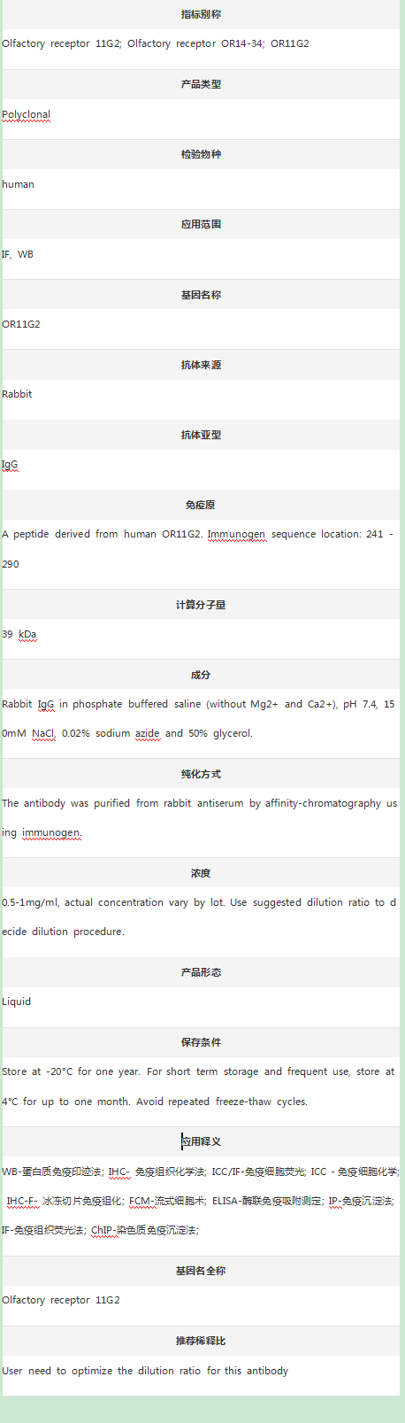 Anti-OR11G2 Antibody