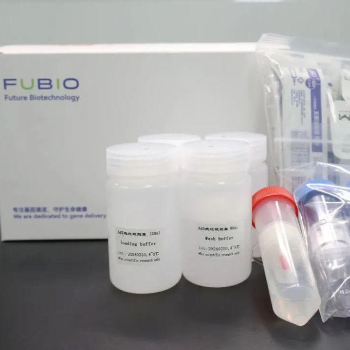 腺病毒纯化试剂盒