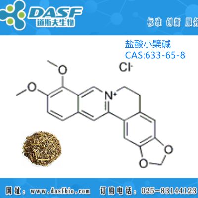 黄连提取 盐酸小檗碱 633-65-8 标准品 98%
