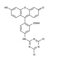 5-FAM,SE 5-羧基荧光素琥珀酰亚胺酯 CAS 92557-80-7 货号114