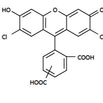 6-FAM 6-羧基荧光素 CAS 3301-79-9 货号106