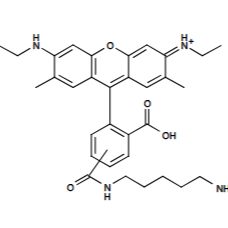 5-FITC 5-异硫氰酸荧光素yi二胺 CAS 75453-82-6 货号126