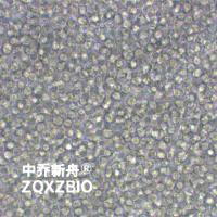 HMy2.CIR人B淋巴母细胞