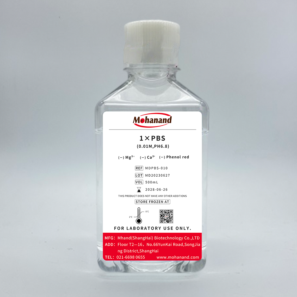 1×PBS(0.01M,pH6.8) 