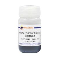 BeyoMag™ His标签蛋白纯化琼脂糖磁珠(TED-Ni)