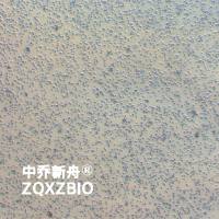 BALL-1人B淋巴细胞急性白血病细胞