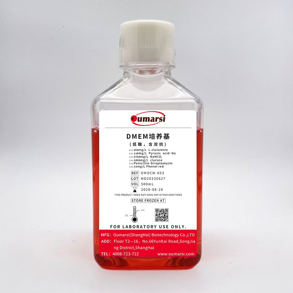 DMEM (Low Glucose, with Penicillin-Streptomycin) 