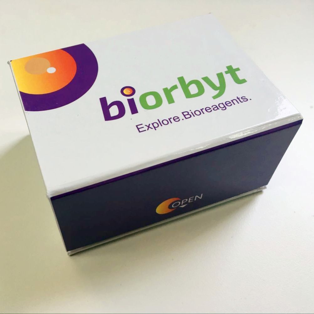 Porcine Bax (Bcl-2 Associated X Protein) ELISA Kit 酶联免疫试剂盒，orb1755833，Biorbyt