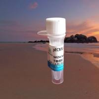 pCMV-PMPCA(human)-3×HA-Neo质粒载体