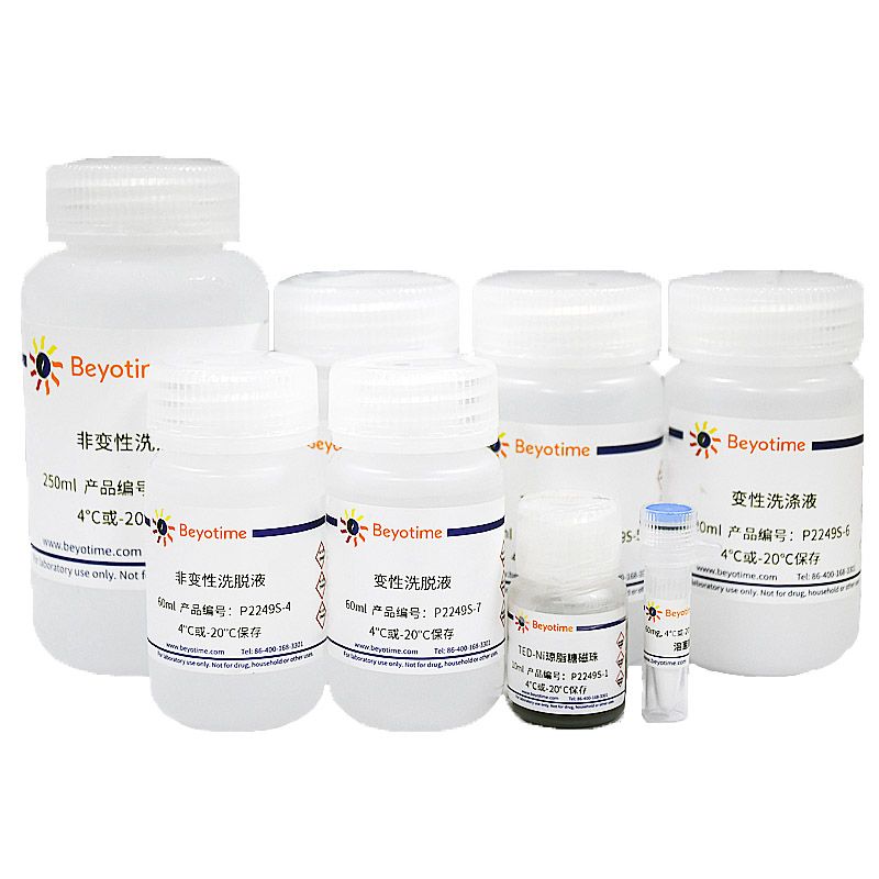 His标签蛋白纯化试剂盒(TED-Ni琼脂糖磁珠)