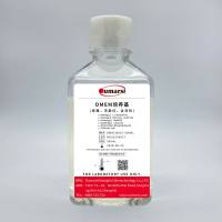 DMEM培养基(低糖,无酚红,含双抗)