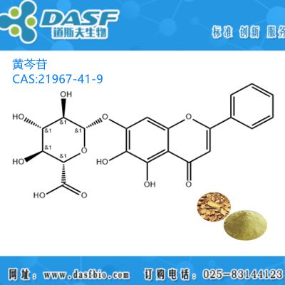 黄芩提取 黄芩苷98% Baicalin 21967-41-9 粉末精细 厂家直供可加工