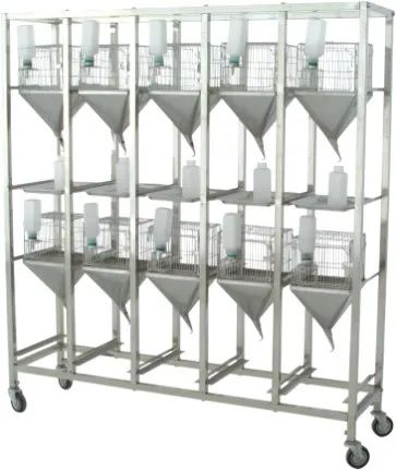 动物实验丨实验动物尿液的采集