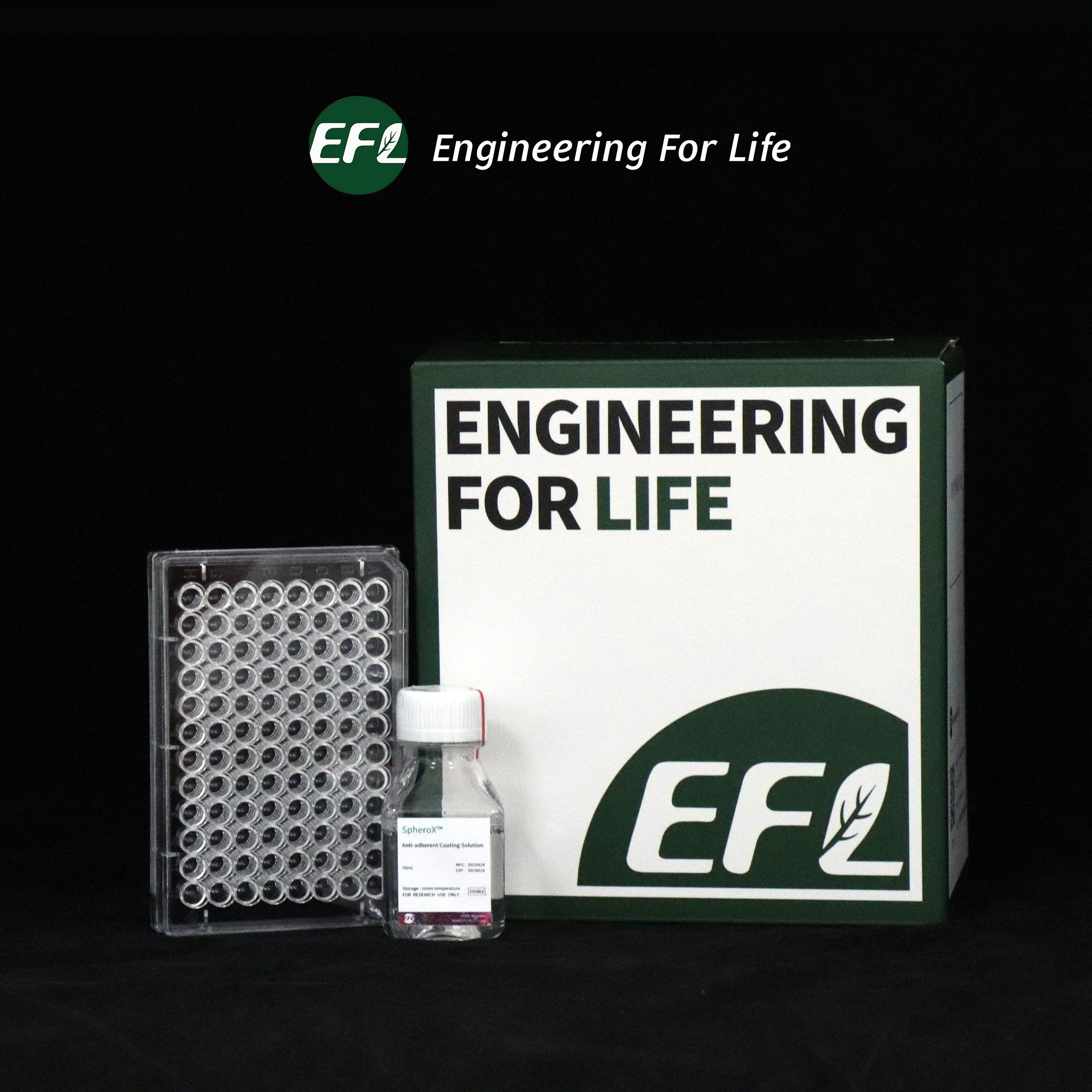 EFL货号EFL-SP101现货SpheroX™超低粘附96U型孔板13611631389上海睿安生物