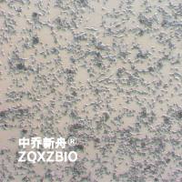 U14小鼠子宫颈癌细胞