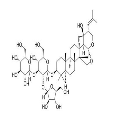假马齿苋皂苷II382146-66-9