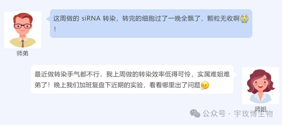 我快碎了！细胞转染颗粒无收，彻夜复盘后竟让课题组刮目相看