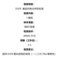 EGFR基因经典点突变检测