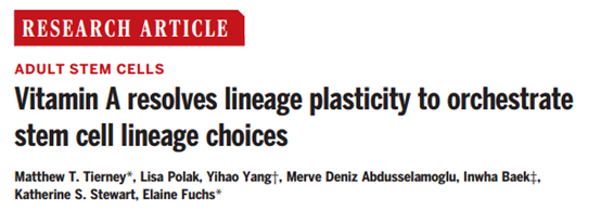 Science：新发现！维生素A可加速伤口愈合或头发再生