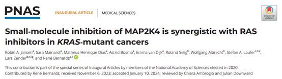 强强联合！发现新型MAP2K4小分子抑制剂可大大增强KRAS抑制剂疗效