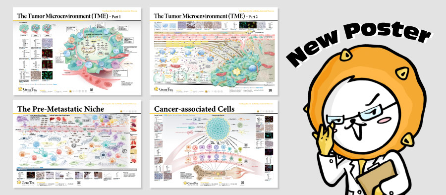 GeneTex新挂图下载!!