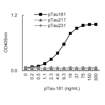 Anti-Tau phospho T181