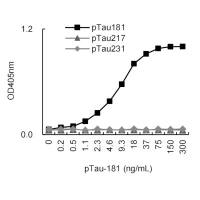 Anti-Tau phospho T181