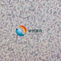 MINO人非霍奇金淋巴瘤细胞