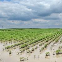 农业水农药残留检测