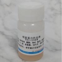 铜蓝蛋白（铜氧化酶）抗血清  