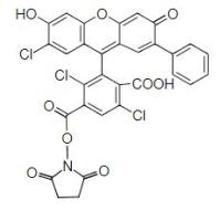 6-VIC,NHS酯 货号212