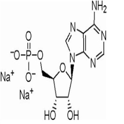5-腺苷一磷酸二钠盐4578-31-8