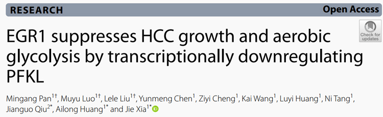 IF=12.658丨J Exp Clin Cancer Res：早期生长应答因子1可抑制PFKL介导的有氧糖酵解延缓肝癌的发展
