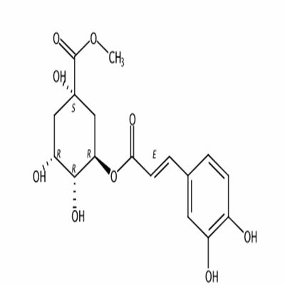 3-咖啡酰奎尼酸甲酯123483-19-2/29708-87-0