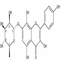 草质素苷85571-15-9