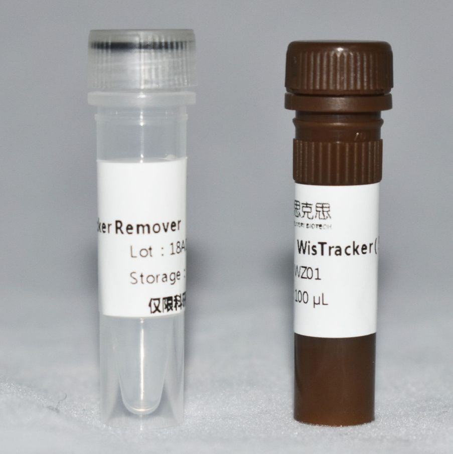 外泌体示踪试剂盒Exosome WisTracker Kit