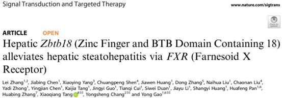 STTT-脂肪肝如何缓解？揭示脂肪性肝炎发展的关键