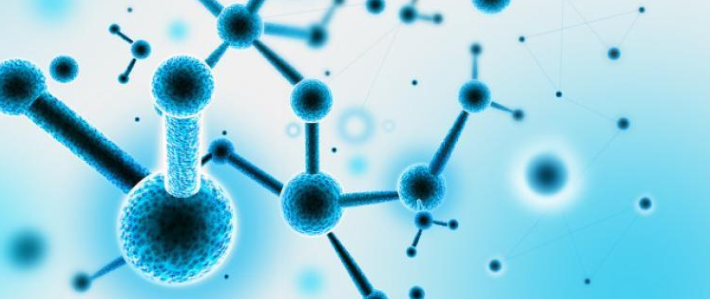 【STR鉴定】SK-MEL-28、SK-MEL-28细胞、S