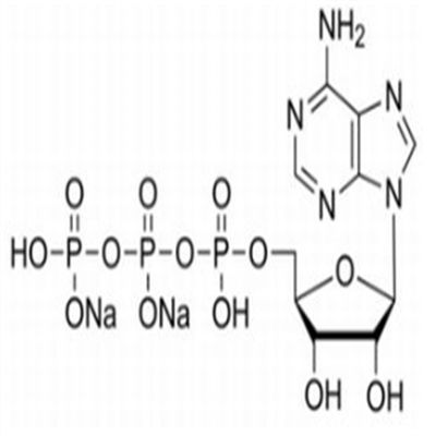 5-腺苷三磷酸二钠盐987-65-5