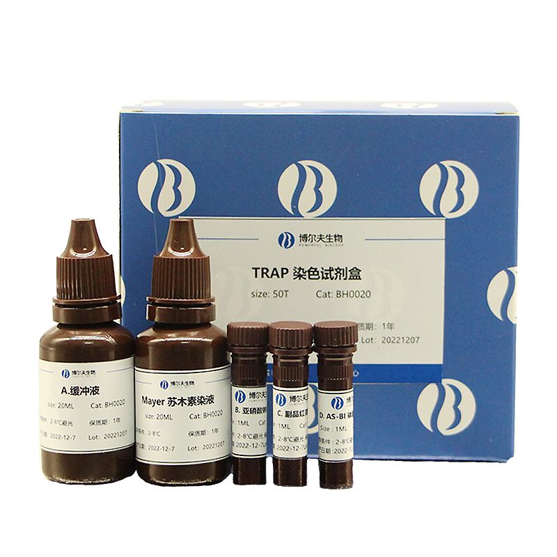 trap破骨细胞染色试剂盒