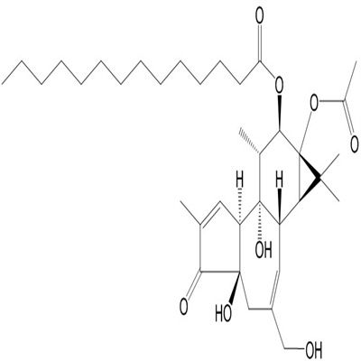 佛波醇12-十四酸酯13-乙酸酯16561-29-8