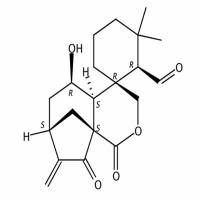 毛果香茶菜醛A85329-59-5