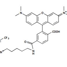 5-羧基-4,7-二氯罗丹明6G 5-dR6G
