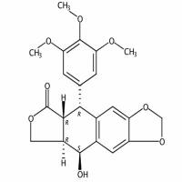 表鬼臼毒素4375-07-9