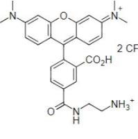 5-羧基四甲基罗丹明yi二胺 5-TAMRA ethylene 货号358diamine