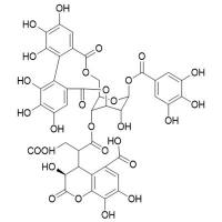 新诃黎勒酸28196-46-5