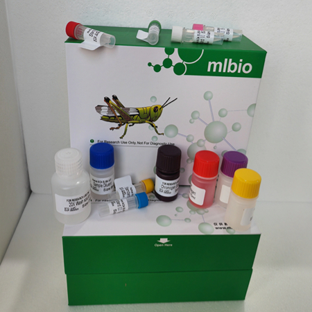 ELISA试剂盒加样问题分析