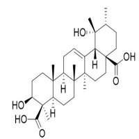 冬青素A108524-94-3