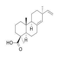 长白楤木酸19889-23-7
